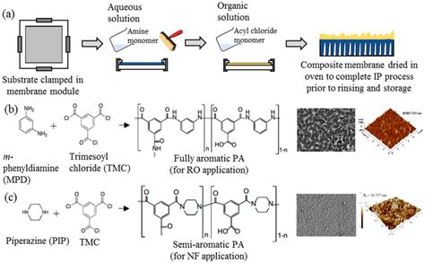 A Typical Lab Scale Polymerization Ip Process For Tfc Flat Sheet