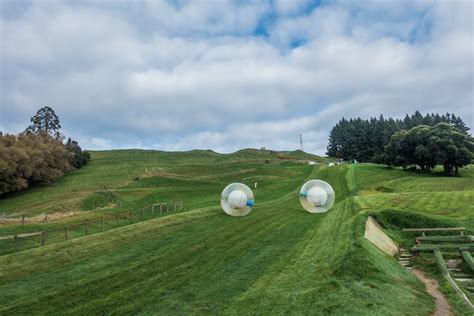 A Unique Zorb Adventure With Ogo In Rotorua Wandering The World