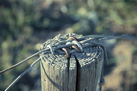 Wire Post Fence - Free photo on Pixabay