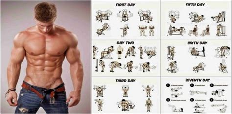 Weight Training Programs to Build Muscle and Gain Weight | Project NEXT