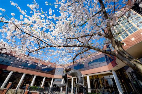 Vcu Board Of Visitors Governance And Compensation Committee And Vcu Board