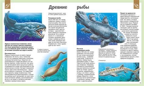 Купить книгу «Универсальная школьная энциклопедия», Франсуаза Перруден ...