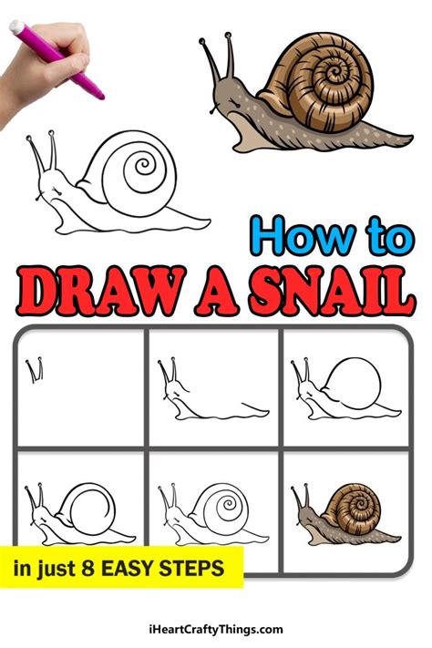 Snail Drawing How To Draw A Snail Step By Step