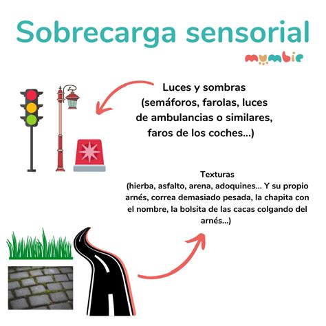 O Que Sobrecarga Sensorial Retoedu