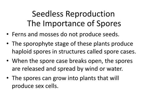 Ppt Seedless Reproduction Powerpoint Presentation Free Download Id