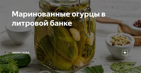 Маринованные огурцы в литровой банке | Мама Люба | Дзен