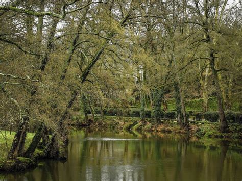 Trees On The River Bank Stock Image Image Of Town Outdoors 111394183