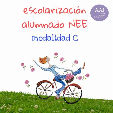 Aula Apoyo Inclusión Modalidades Escolarización