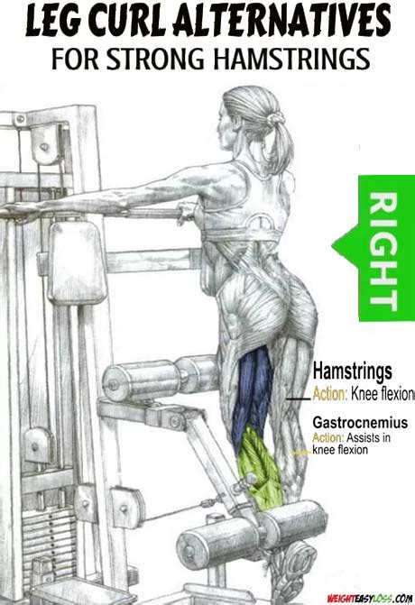 How to Single-Leg Standing Hamstring Curl: Types, Benefits & Guide