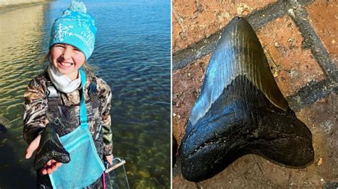 Mega Find 9 Year Old Girl Discovers Prehistoric Megalodon Tooth In