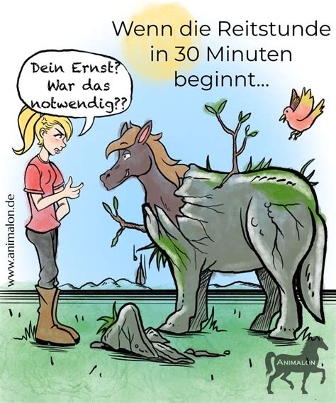 Pferd Comic Lustig Lustige Pferde Bilder Ideen Lustiges Pferd