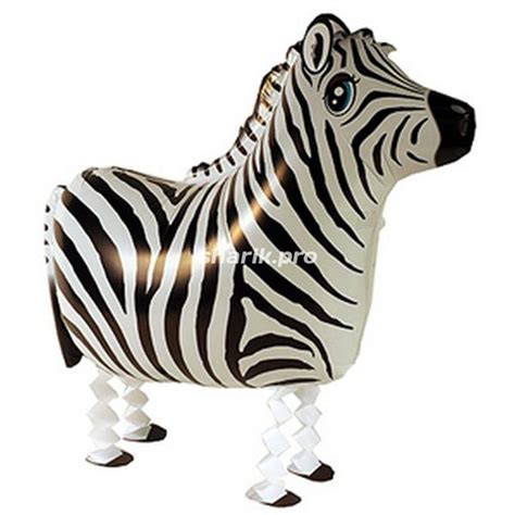 Ходячий шар «Зебра» - купить с доставкой.