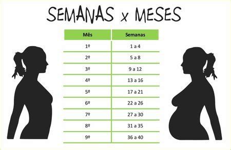 Quantos Meses Sao 24 Semanas