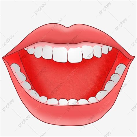 Mouth Teeth White Transparent, Cartoon Hand Drawn Open Mouth And White ...