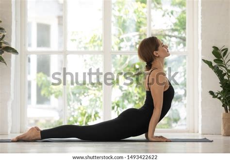 1447 Afbeeldingen Voor Bhujangasana Afbeeldingen Stockfoto‘s En Vectoren Shutterstock