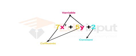 What Does Coefficient Mean In Math