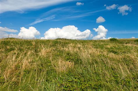 Free Picture Grass Landscape Field Nature Sky Rural Meadow Grassland