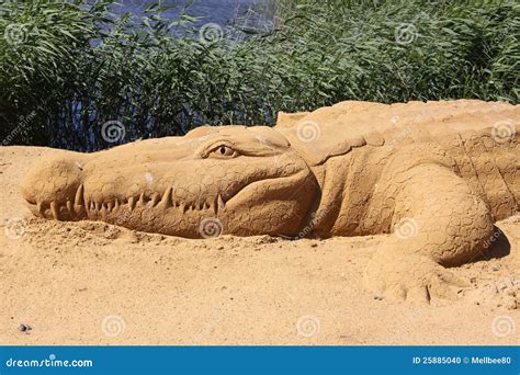 Sand Sculpture Alligator Editorial Image Image