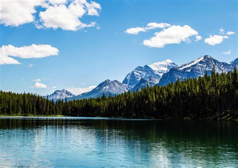 Free Images Landscape Nature Forest Wilderness Cloud Sky Meadow