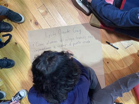 Jornada De Jovenes L Deres Y Medio Ambiente Lyc E Claude Gay Osorno Colegio Franc S De Osorno