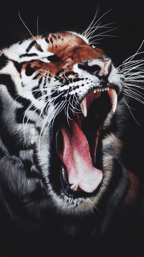 X X Tiger Roar Artwork Hd Digital Art