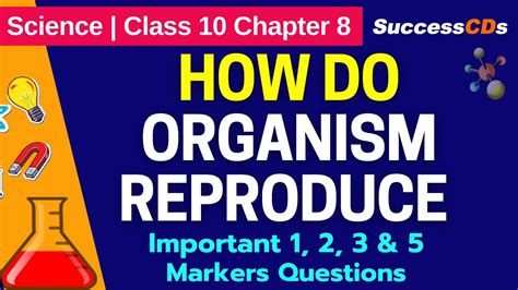 Class 10 Science Ch 8 “how Do Organisms Reproduce” Important 123 And 5