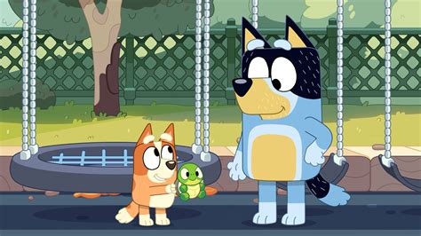 Bluey Introduces Deaf Character In New Episode 49 Off