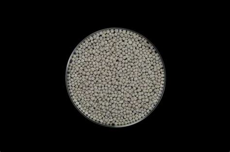 Diatomite Silicon Granule With Magnesium 95 At Rs 100kg Npk