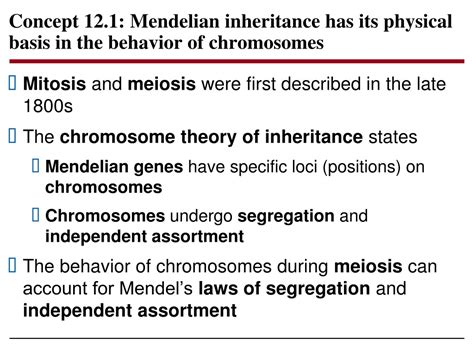 Ppt The Chromosomal Basis Of Inheritance Powerpoint Presentation