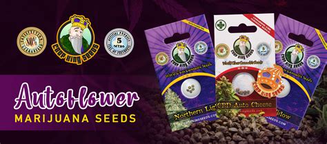 Autoflower Seeds Canada | Crop King Seeds