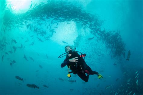 Fenómeno - Definición, Concepto y Qué es