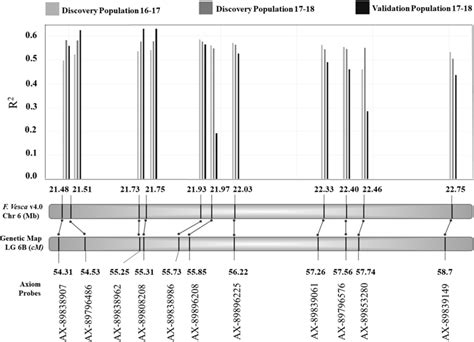 Single Marker Analysis In Two Discovery Populations And A Validation