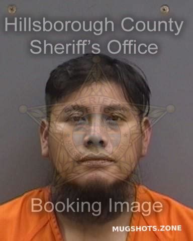 MOLINA JOSE 11 18 2023 Hillsborough County Mugshots Zone