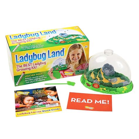 Ladybug Land Growing Kit - ILP2100 | Insect Lore | Animal Studies