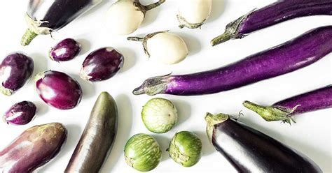 thousand names  eggplant  thousand names  eggplant clasy