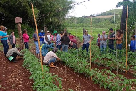 Para Incentivar A Produ O Agroecol Gica Idr Paran Investe Na