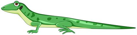 Cartoon Style Gecko Or Lizard 1337828 Vector Art At Vecteezy