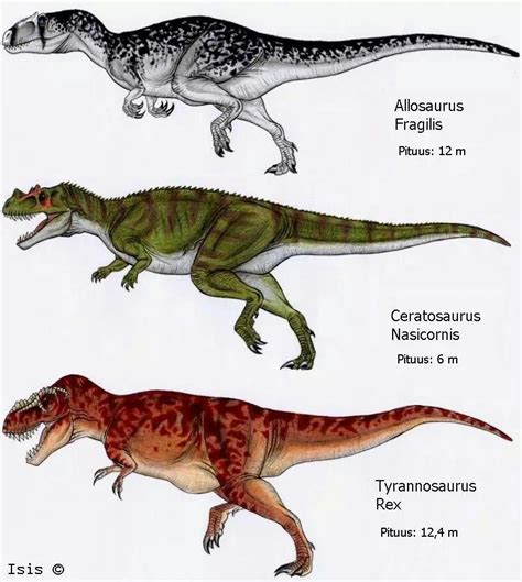 3 Dinosaures Carnivores Dinosaurus Prehistorie Prehistorisch