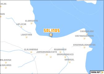 Salinas (Mexico) map - nona.net