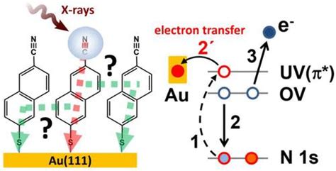 Probing Matrix Effects In The Course Of Electron Transfer Across A Self