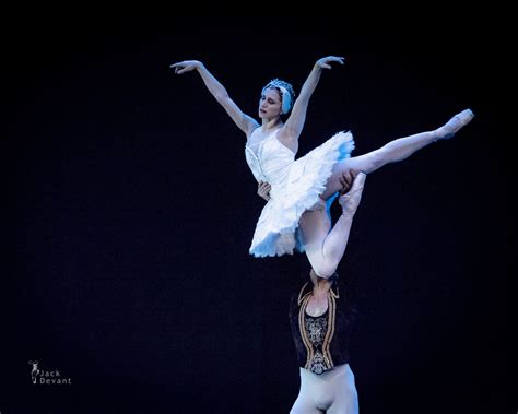 Pin on Ballet - Swan Lake