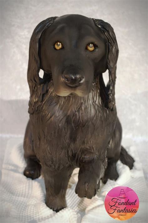 Sam The Spaniel Decorated Cake By Fondant Fantasies Of CakesDecor