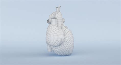 Heart Anatomy 3D Model $69 - .ma .3ds .dae .dxf .fbx .max .obj - Free3D