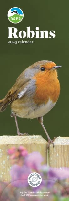 Rspb Robins Slim Calendar 2025 9781529841596 Whsmith