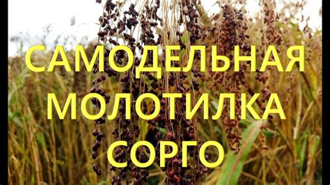 Самодельнвя молотилка сорго, суданки и других культур сделанная своими ...