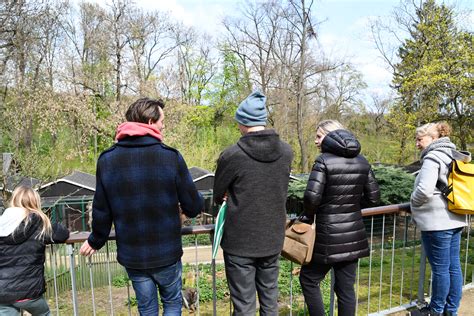 Führungen Tierpark Kloster Riesa