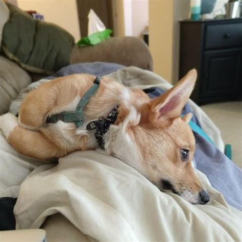 Best Earth Angel Images On Pholder Earth Porn Roses And Jigsawpuzzles