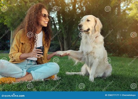 Joven Africanamericana Y Su Perro Recuperador De Oro Sobre Hierba Verde