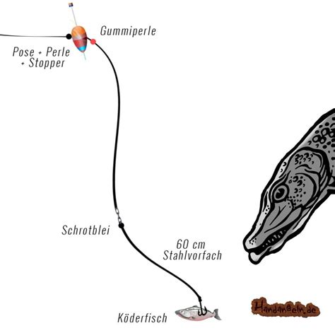 Posenmontage Top Hecht Forelle Karpfen Co Zum Posenangeln