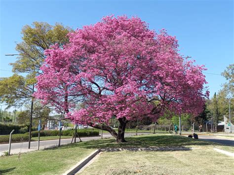 Recursos Naturales De Paraguay Desarrollo Sustentable